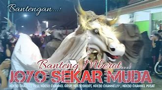 Lagu Banteng Mberot