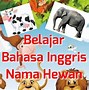 Nama Hewan Dalam Bahasa Inggris Dari Huruf A